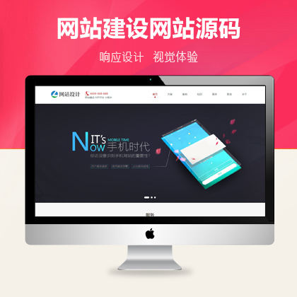 网站建设软件开发小程序开发类网站织梦模板